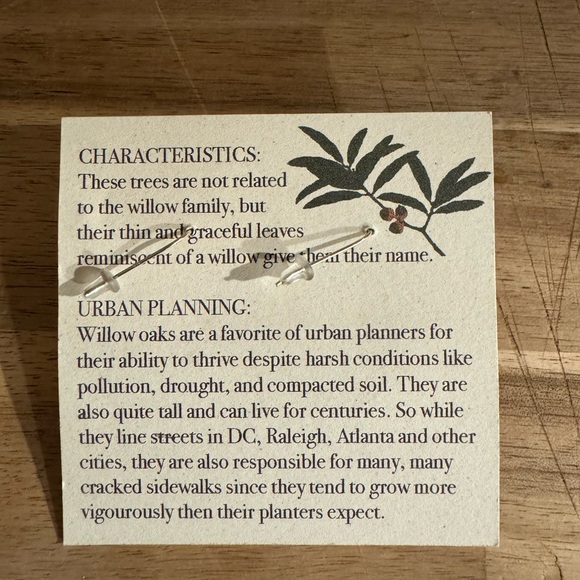 Shade Metals artisan acorn cap earrings. - Picture 6 of 6